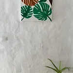 Casa El Conde アガエテ