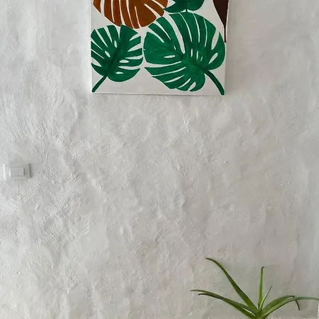 Casa El Conde Agaete (Gran Canaria)